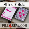 Rhino 7 Beta 32